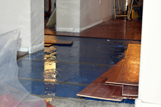 Professional Burst Pipe Water Damage technician working in Deerfield, WI